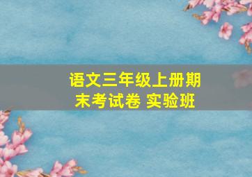 语文三年级上册期末考试卷 实验班